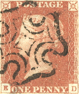 Plate 22 E-D