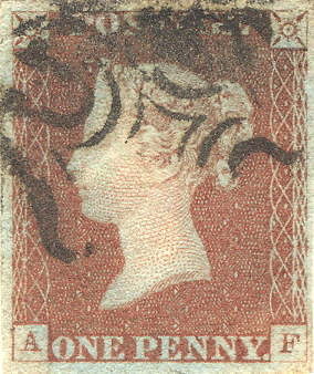 Plate 23 A-F