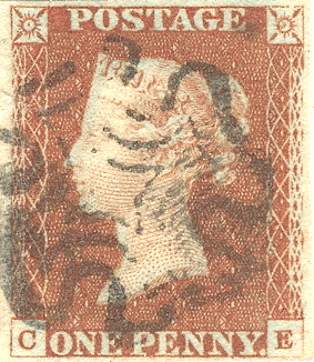 Plate 23 C-E