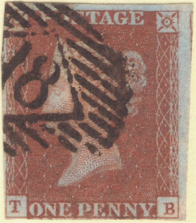 Plate 55 T-B