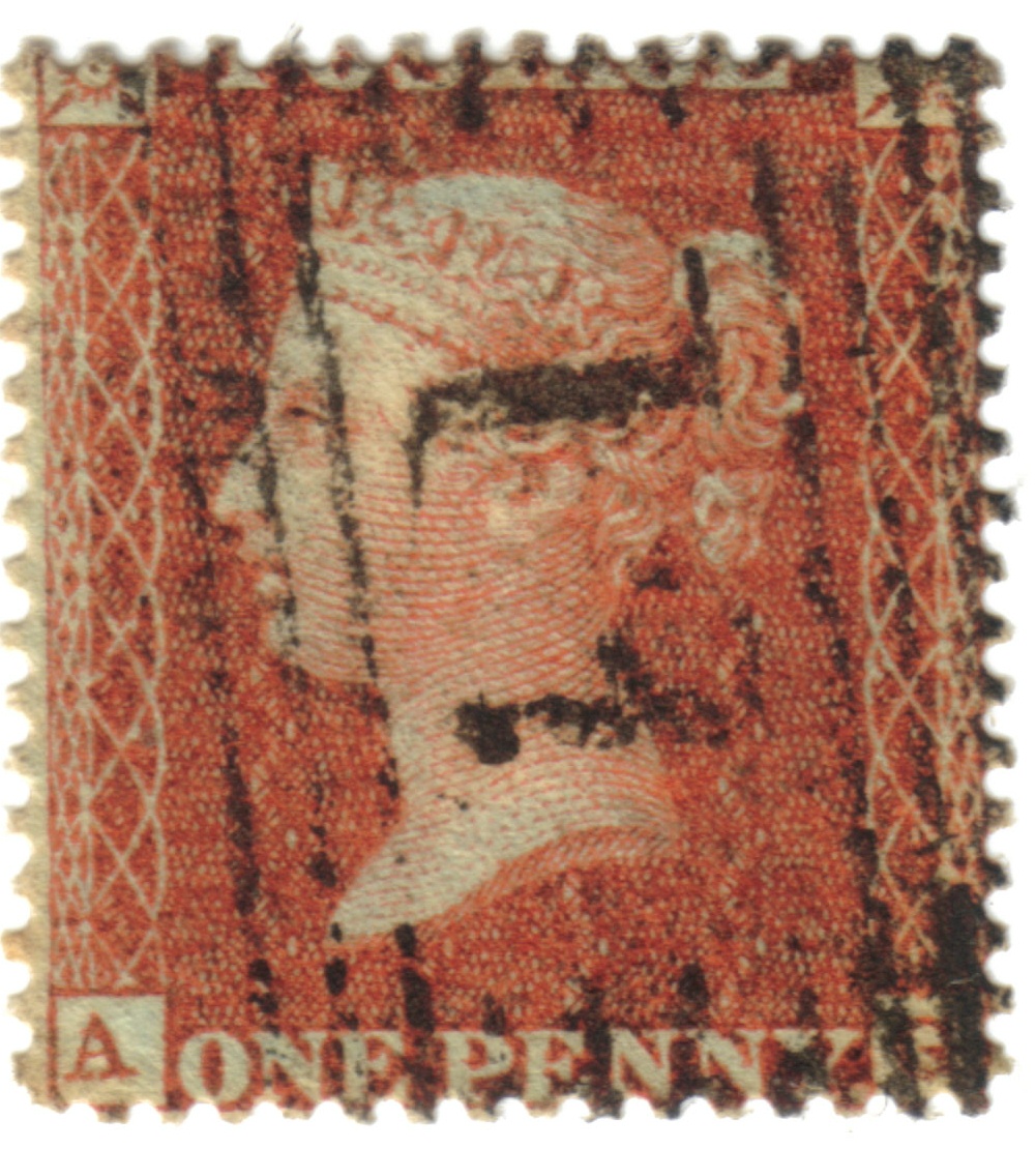 Plate 5 A-G