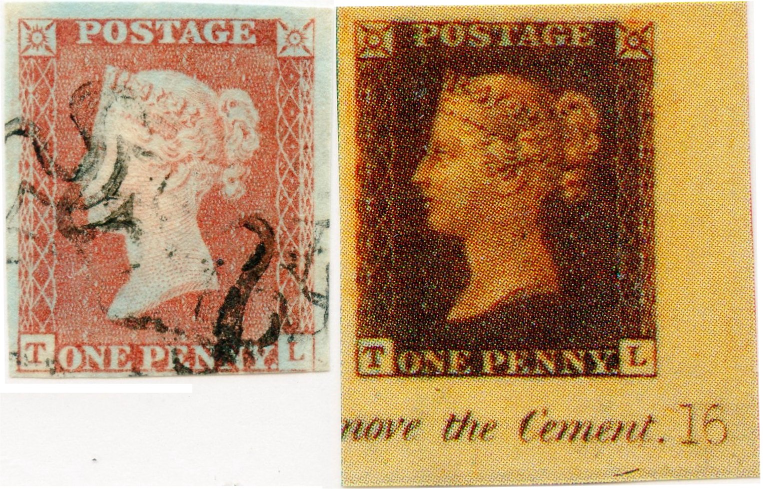 Plate 16 T-L