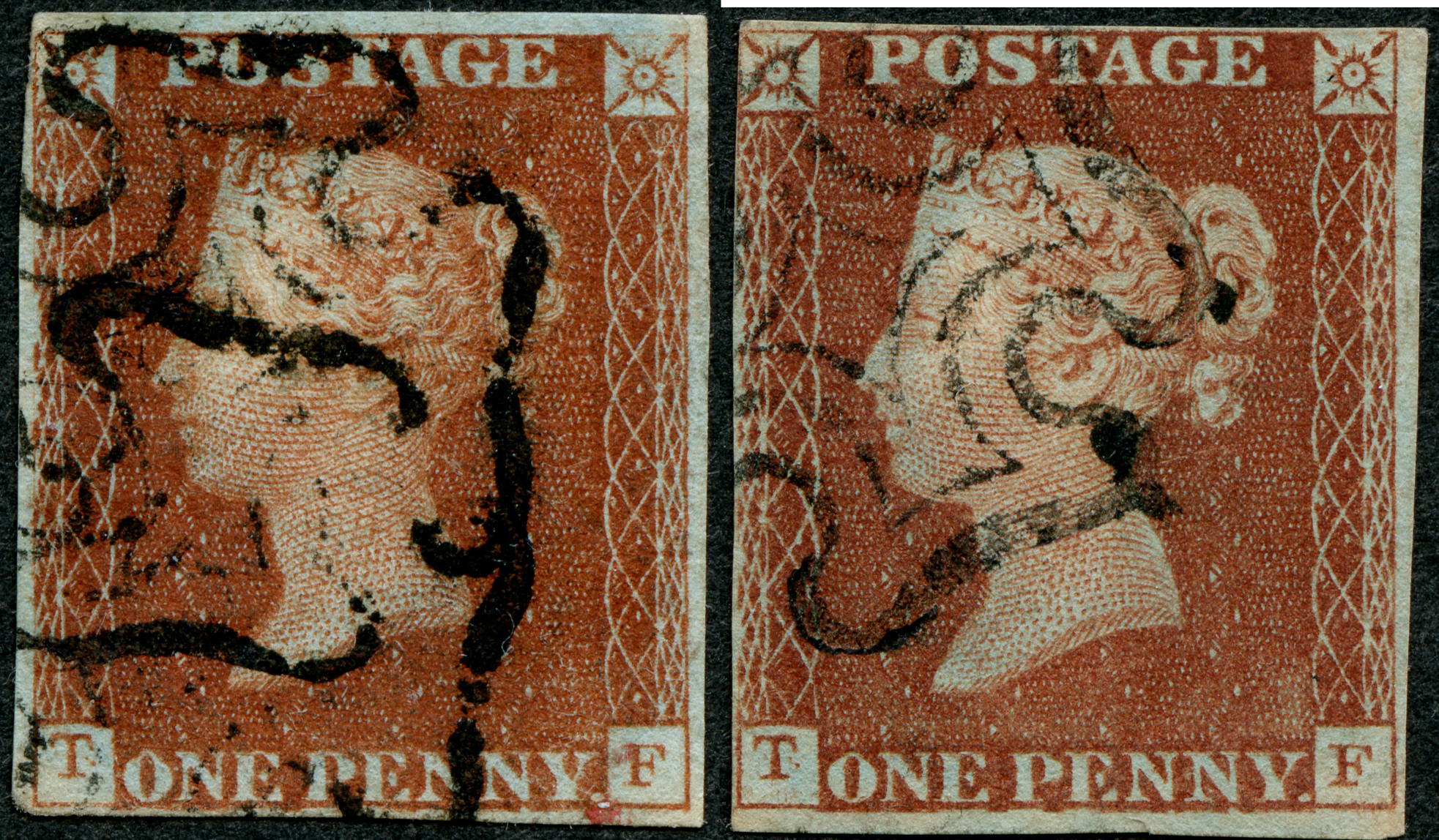 Plate 15 T-F