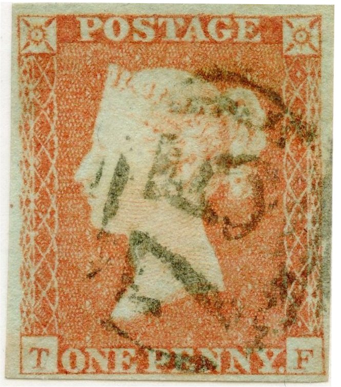 Plate 113 T-F