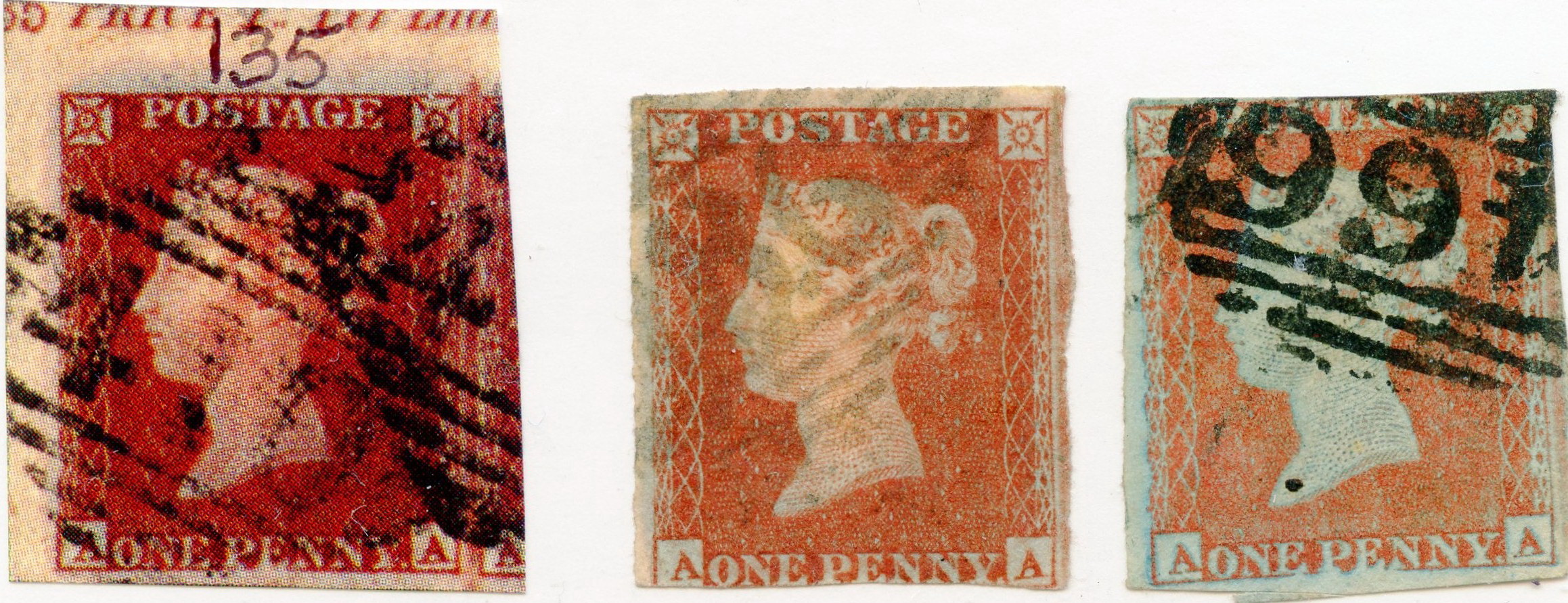 Plate 135 A-A