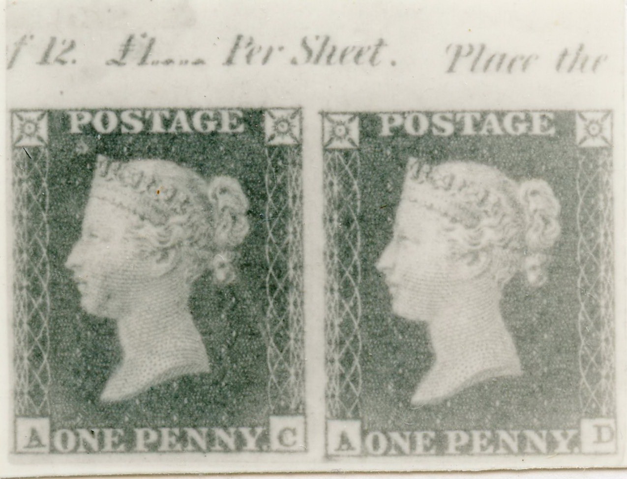 Plate 131 A-C, A-D