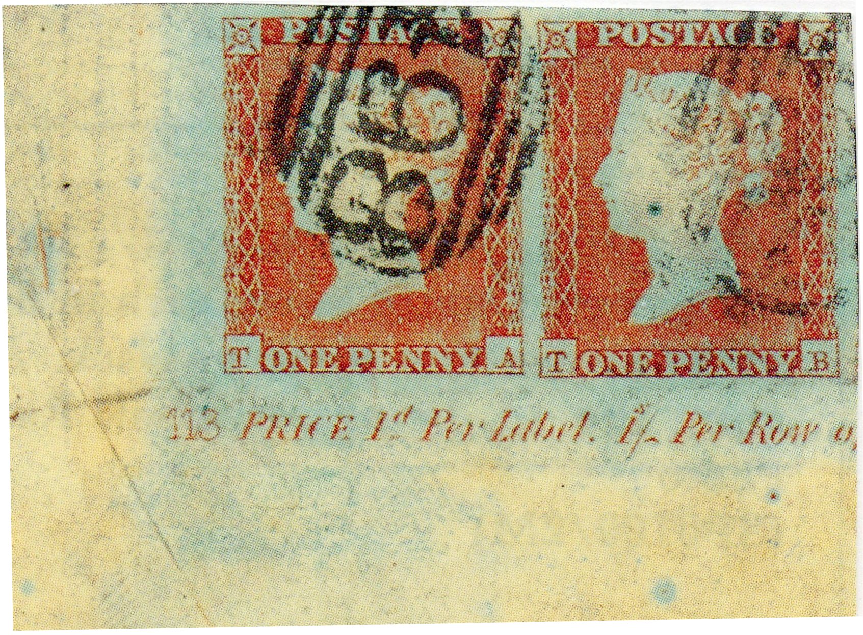 Plate 113 T-A, T-B