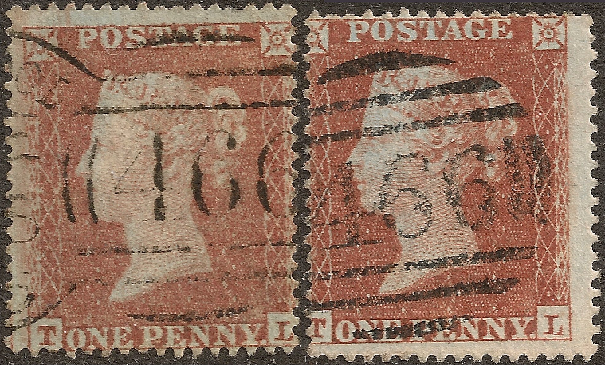 Plate 196 T-L