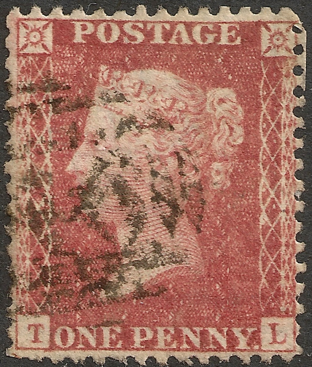 Plate 55 T-L