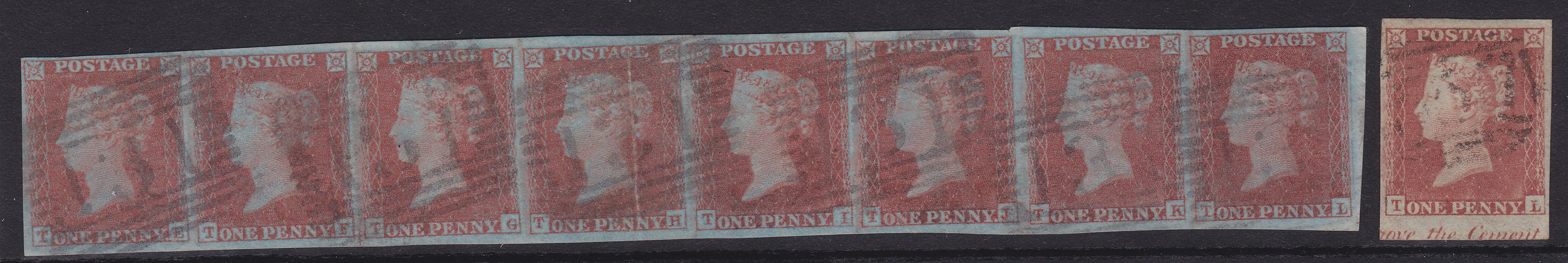 Plate 146 T-L