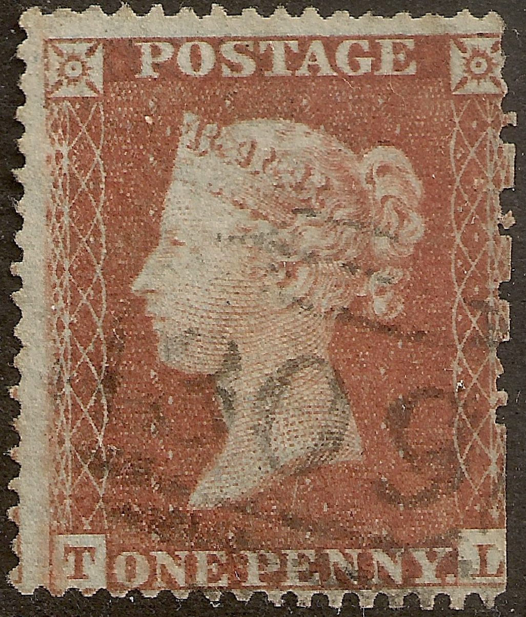 Plate 175 T-L