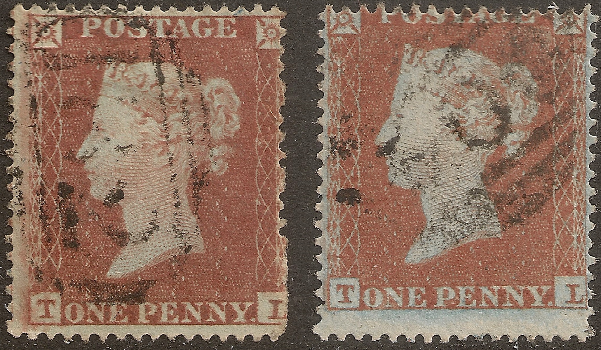Plate 179 T-L