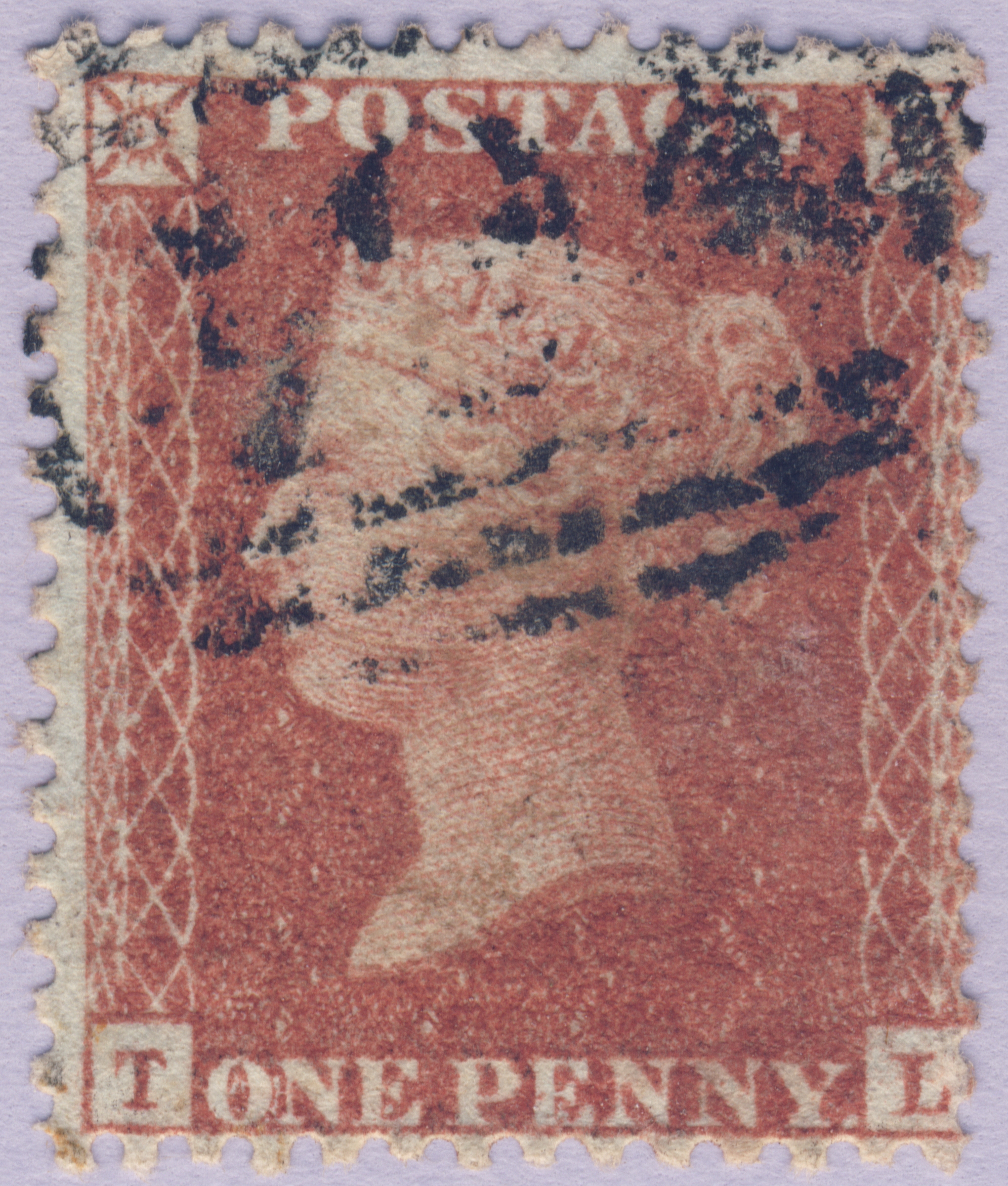Plate 32 T-L