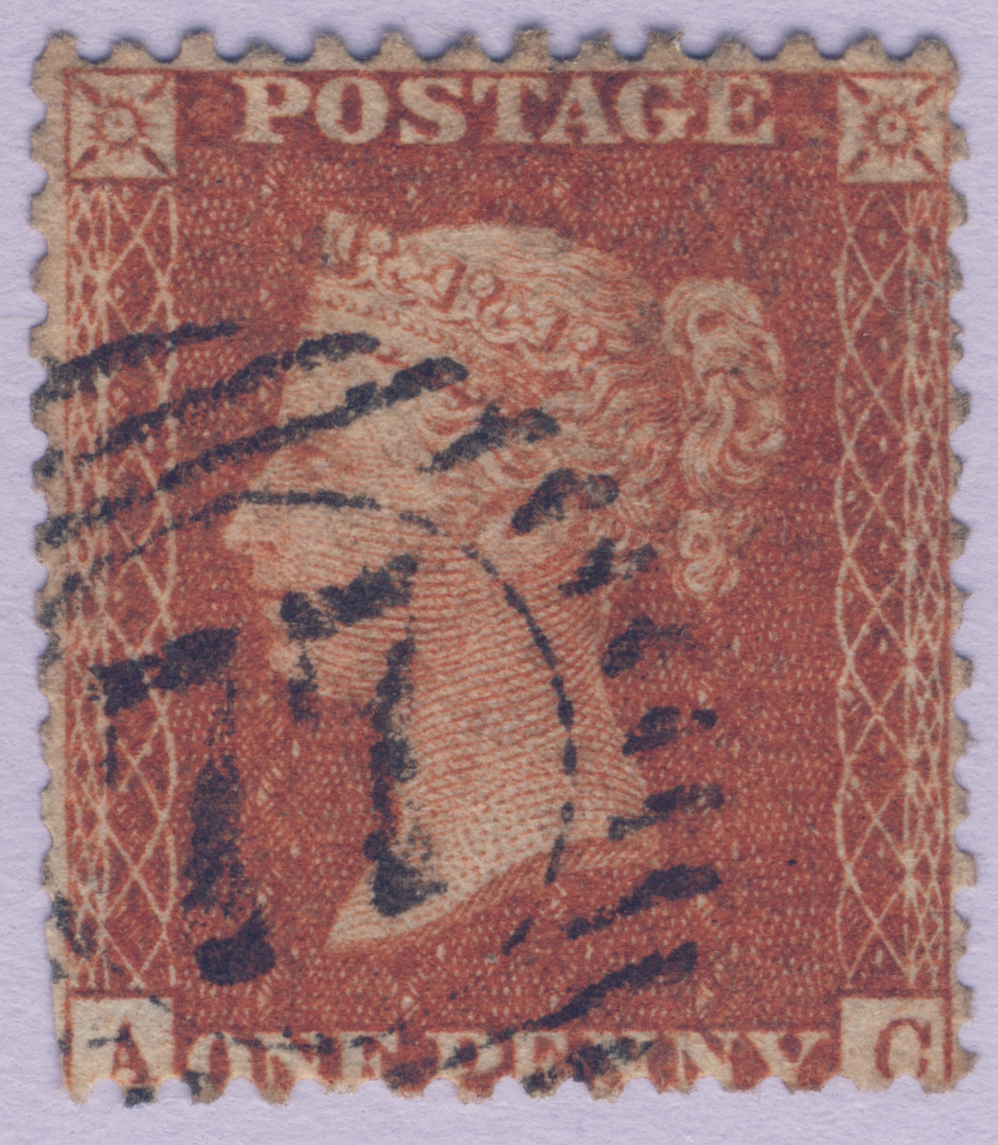 Plate 31 A-C