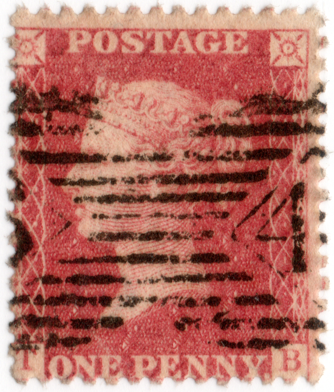 Plate 50 T-B