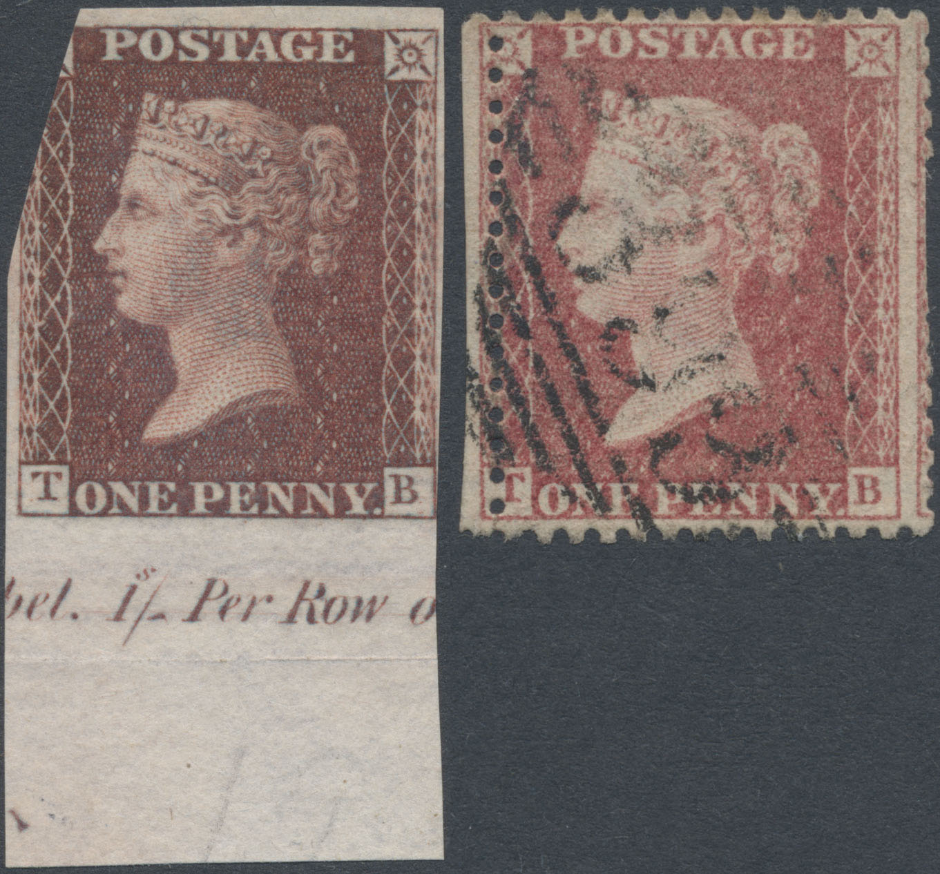 Plate 51 T-B