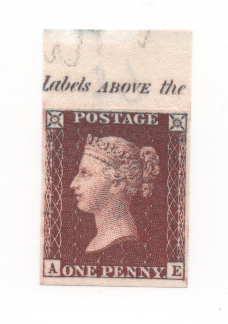 Plate 39 A-E