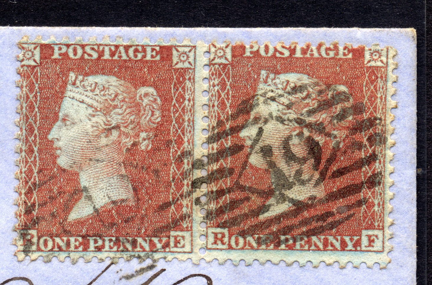 Plate 5 R-F