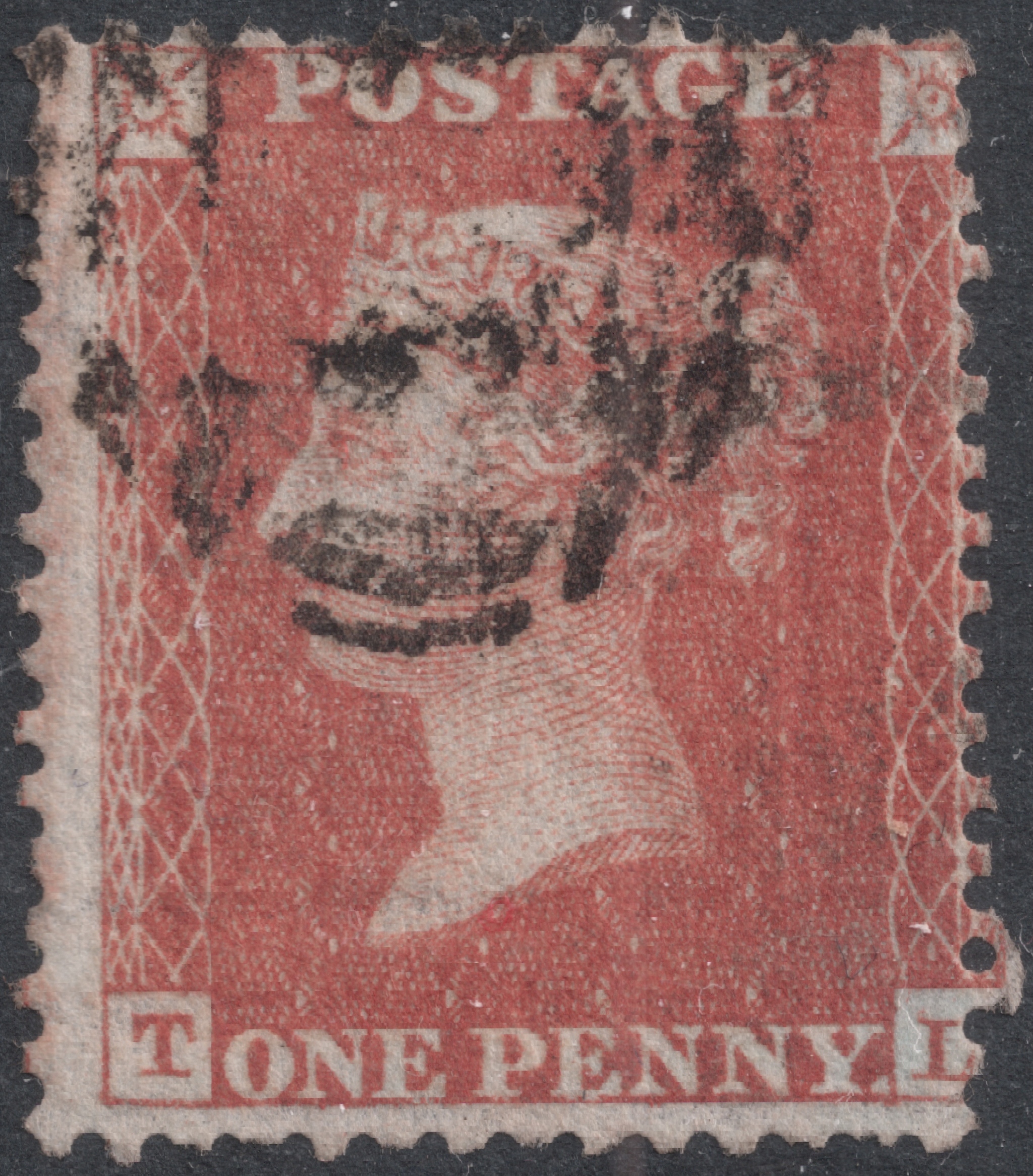 Plate 15 T-L