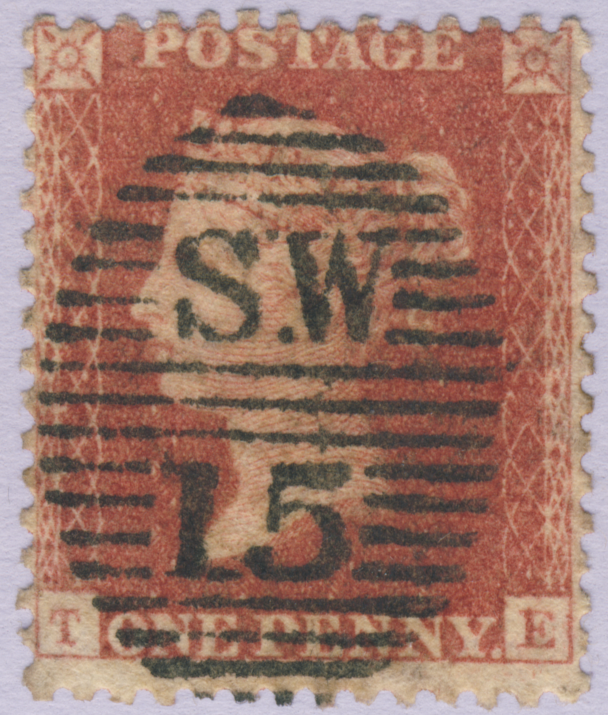 Plate 49 T-E