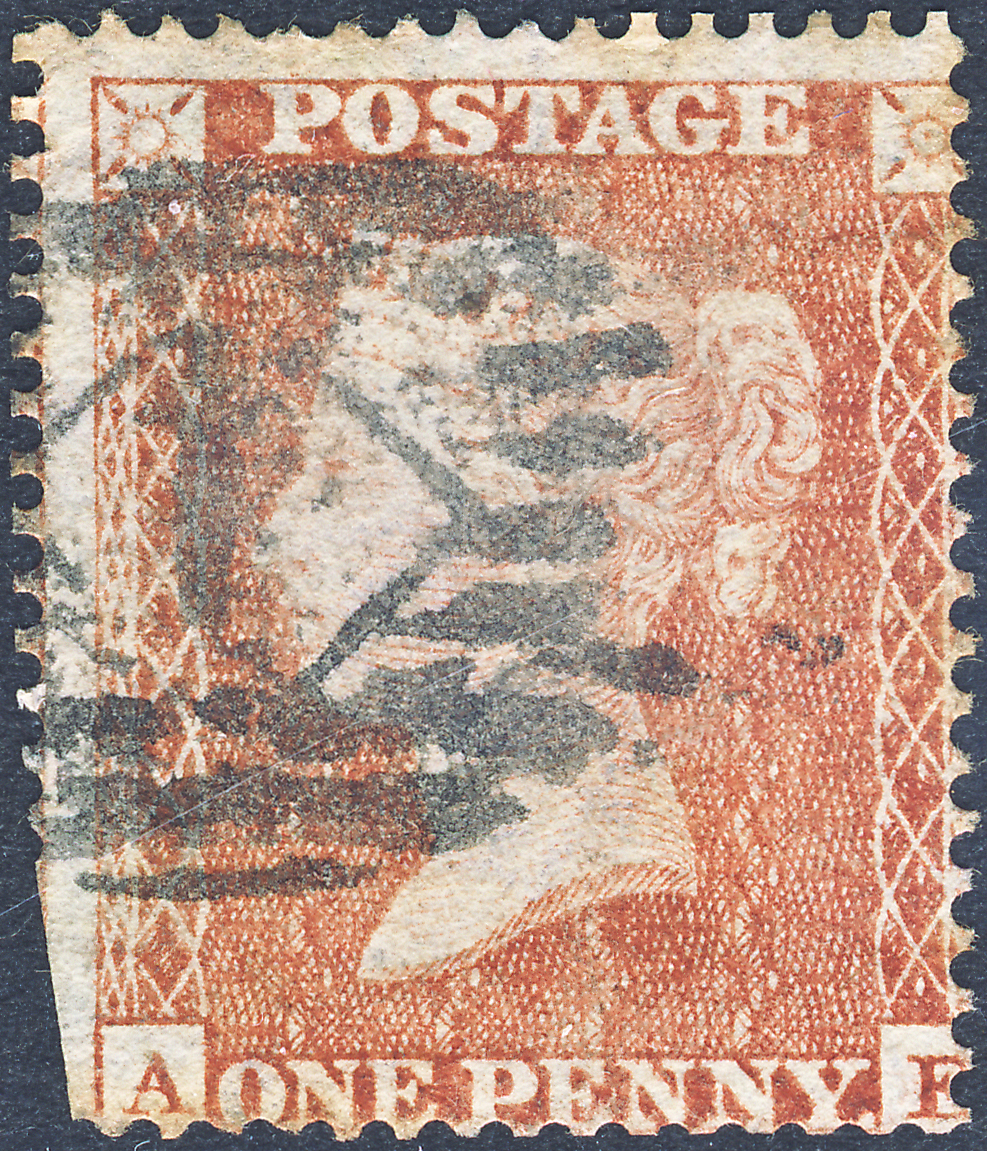 Plate 2 A-E