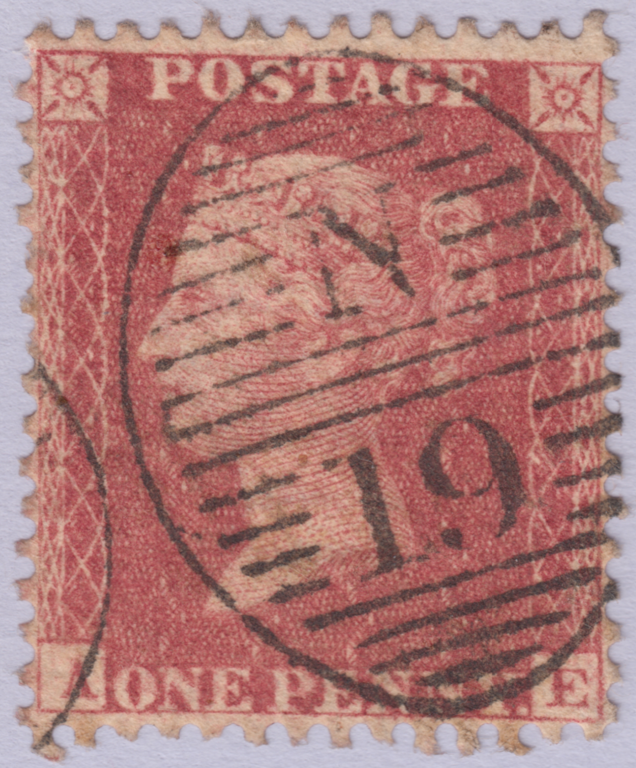 Plate 55 A-E