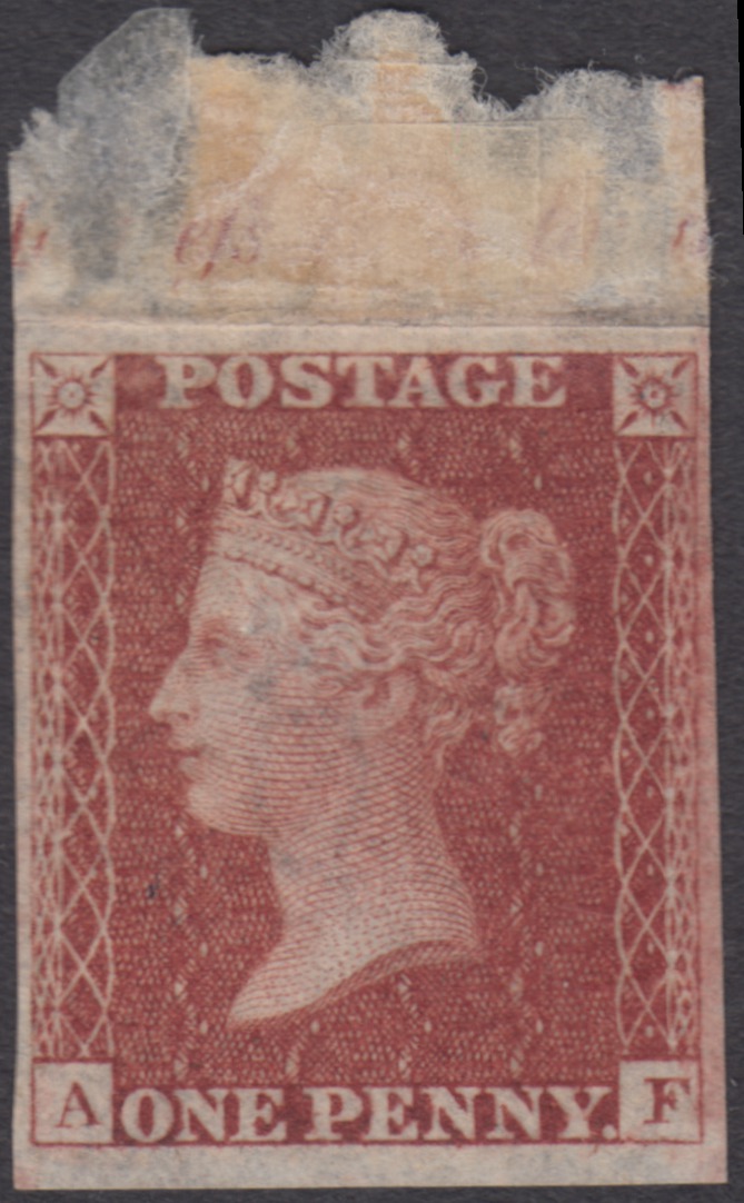 Plate 20 A-F