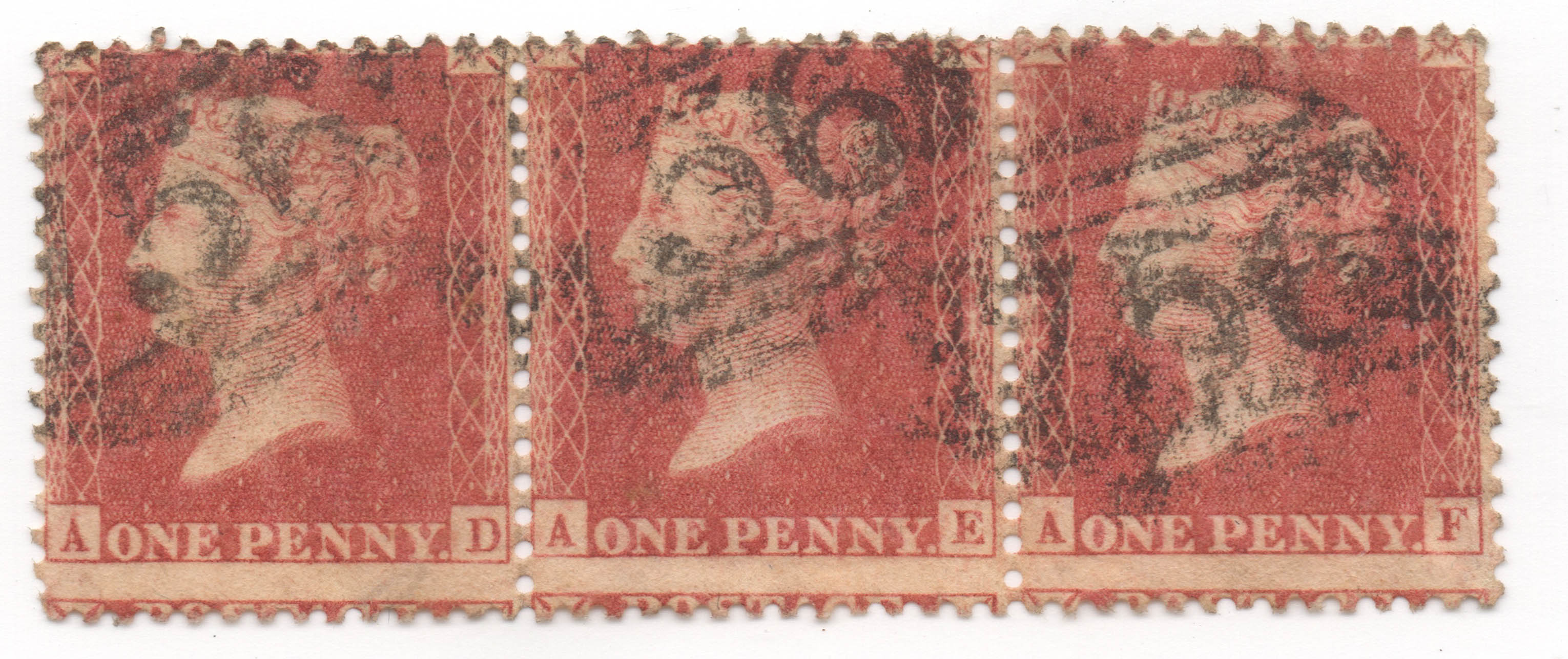 Plate 42 A-D, A-E, A-F