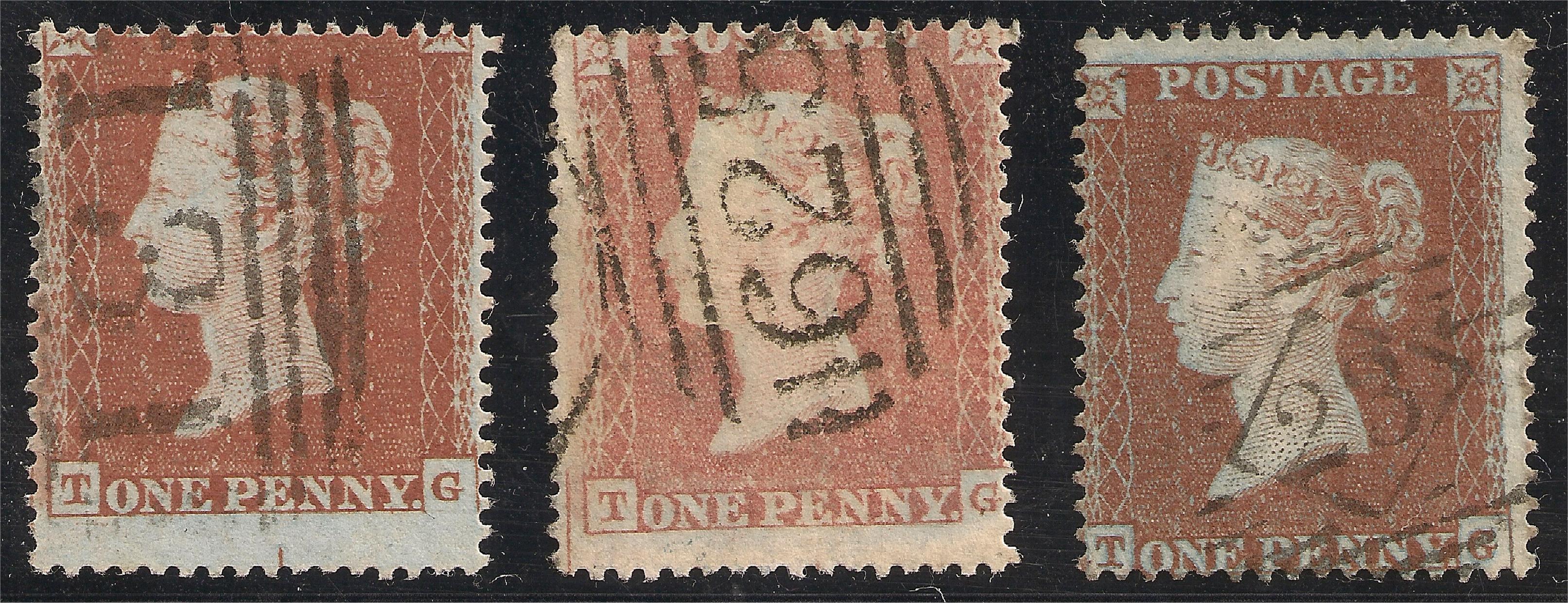 Plate 195 T-G