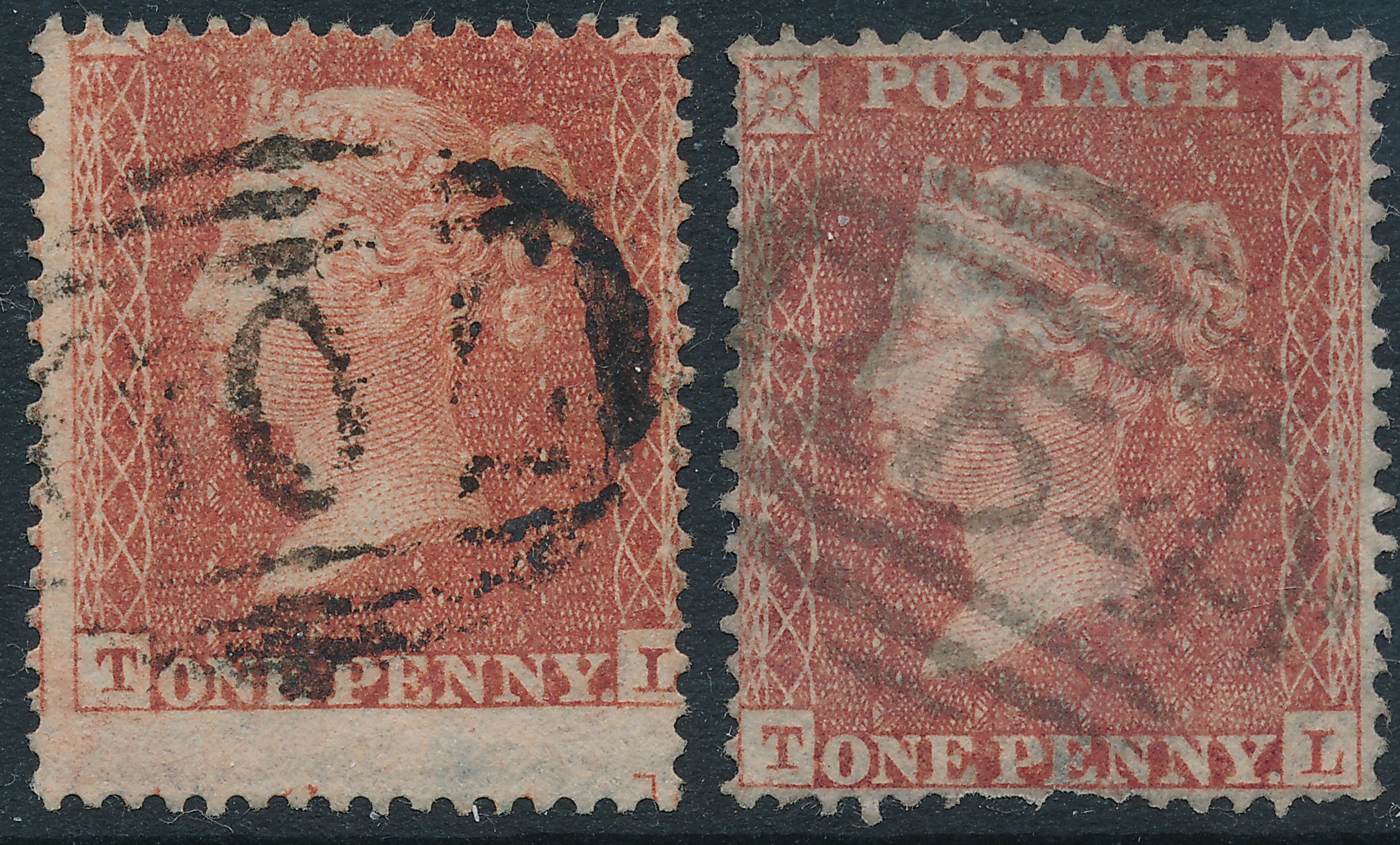 Plate 10 T-L