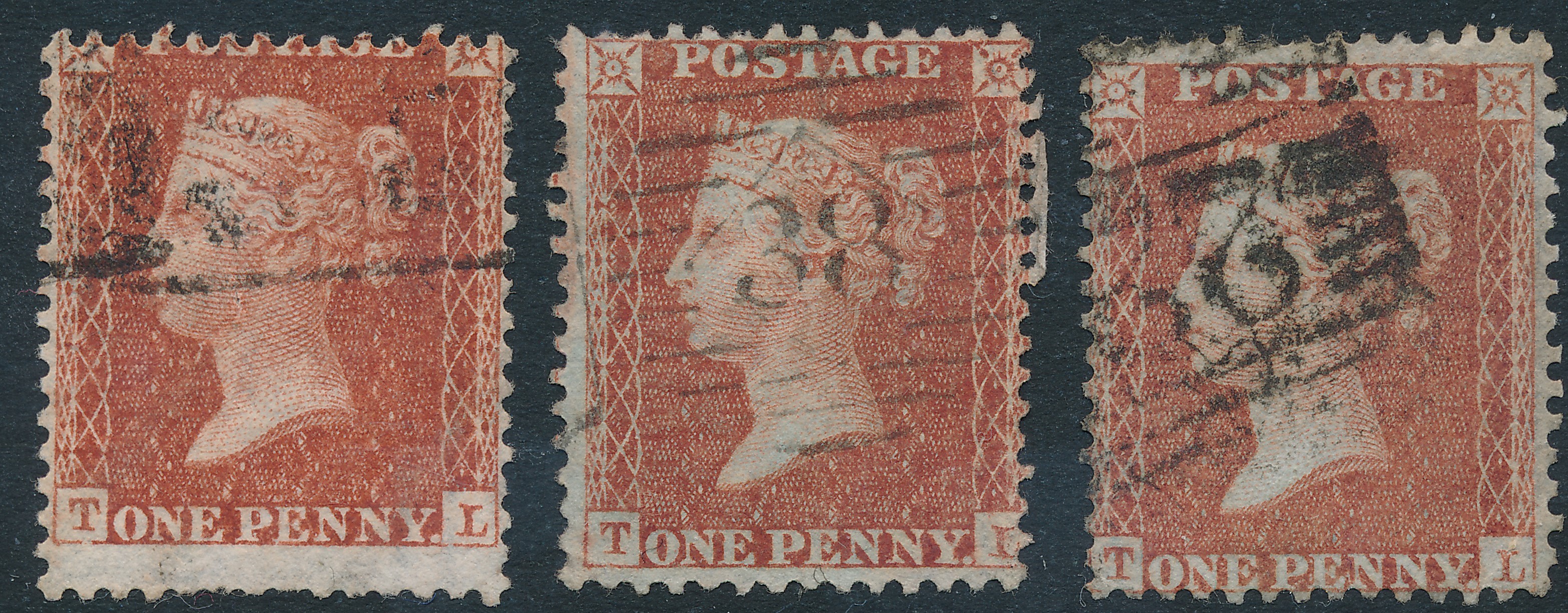 Plate 14 T-L