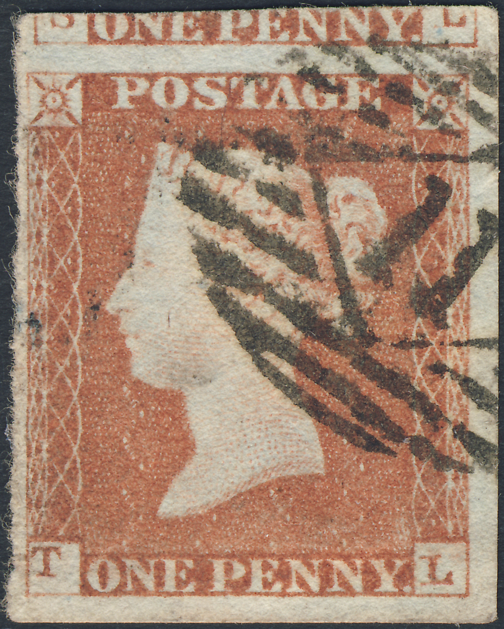 Plate 77 T-L