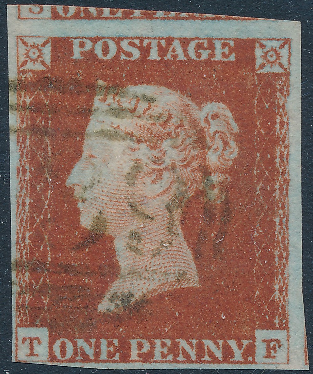 Plate 50 T-F
