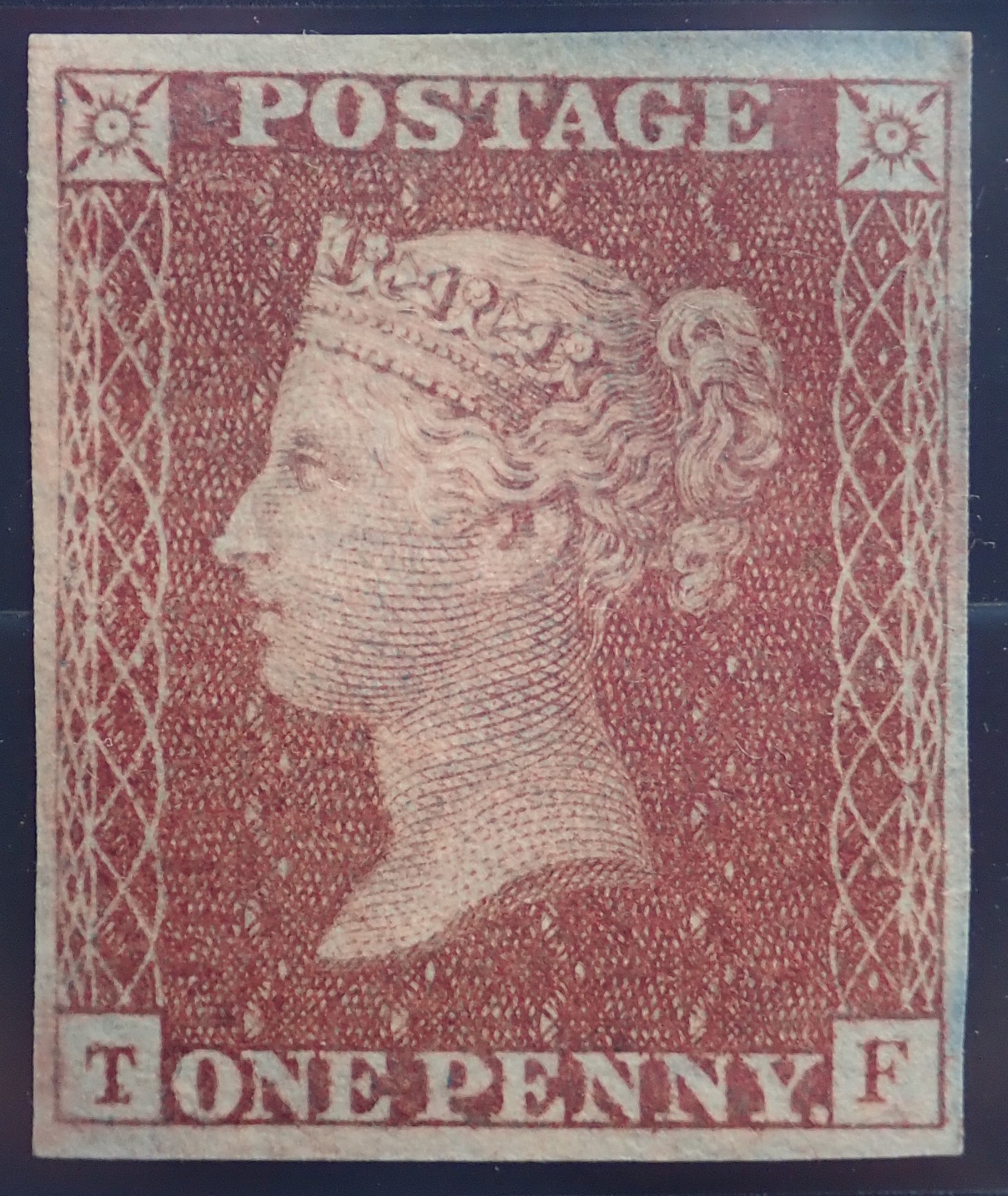 Plate 22 T-F