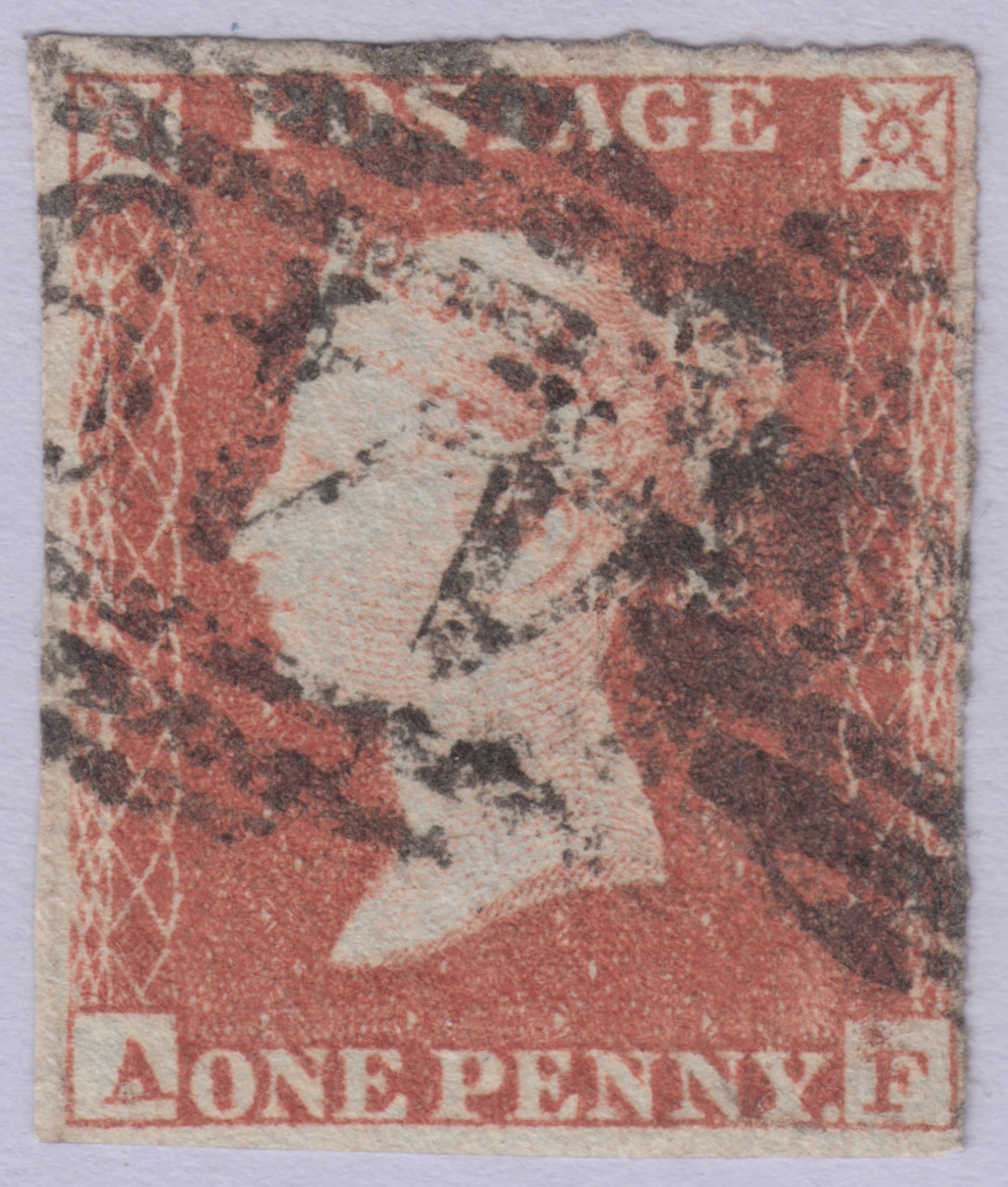 Plate 146 A-F