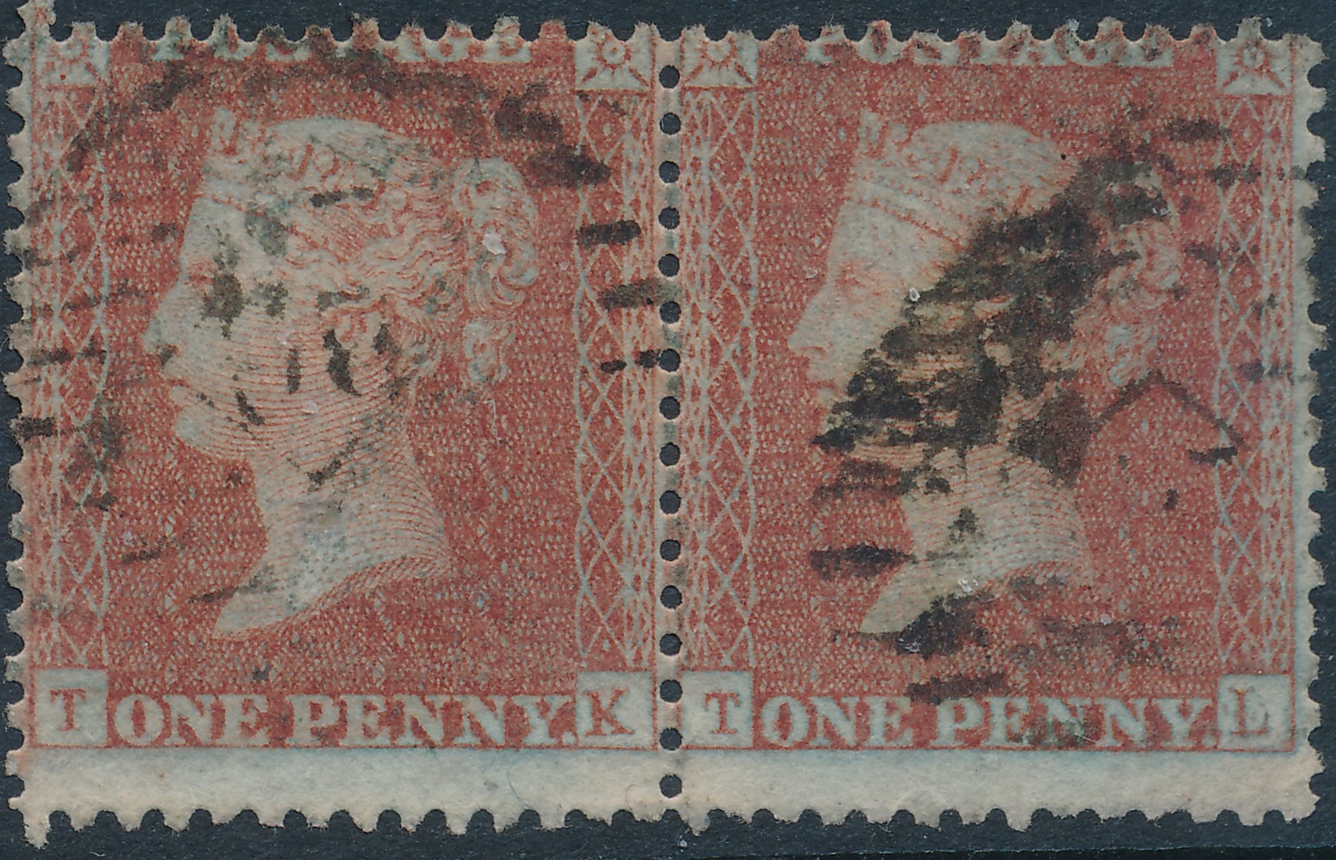 Plate 23 T-L
