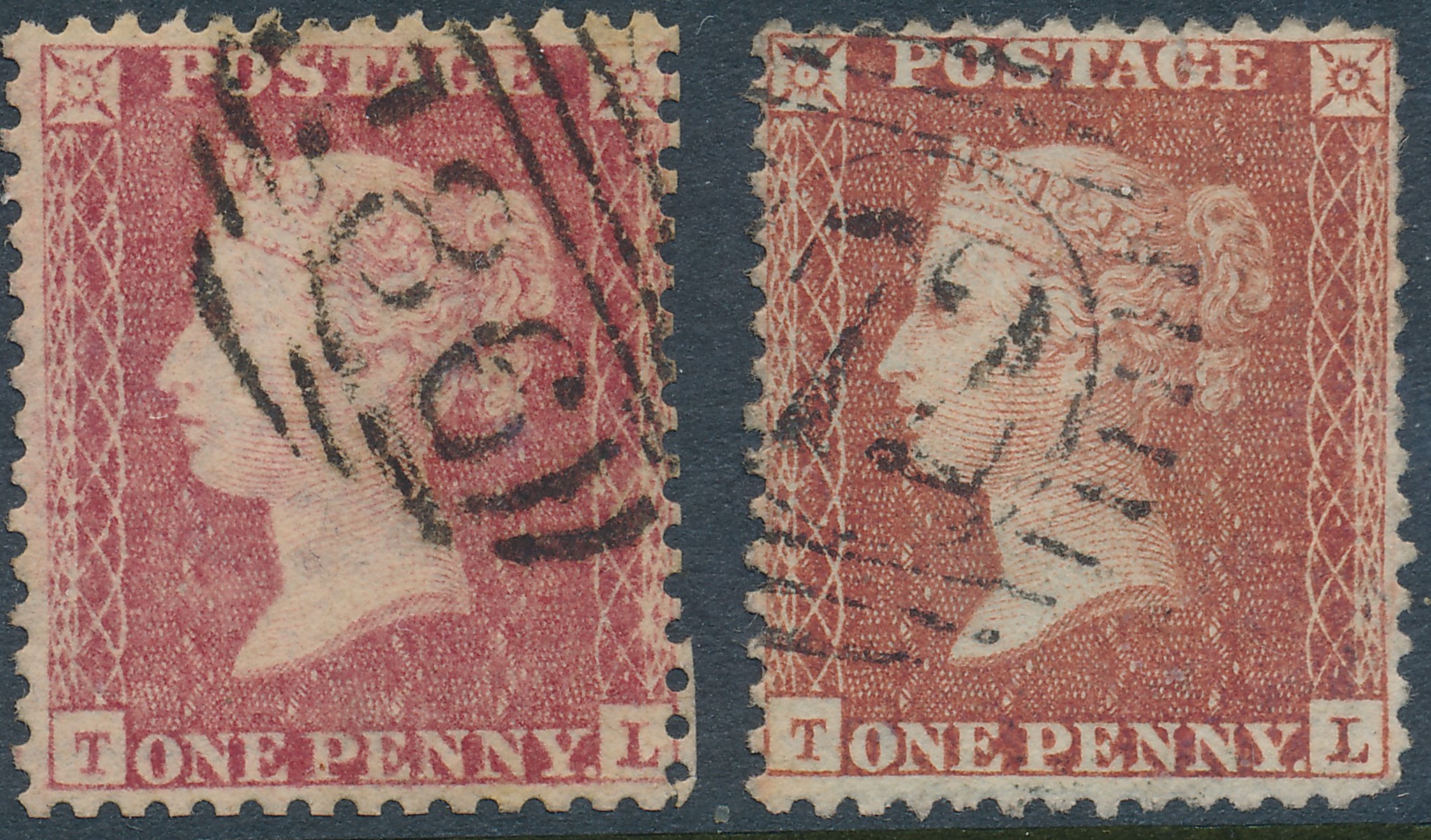 Plate 45 T-L