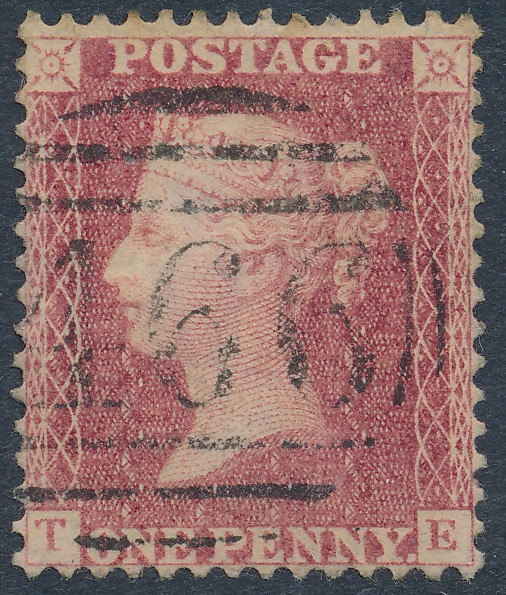 Plate 50 T-E