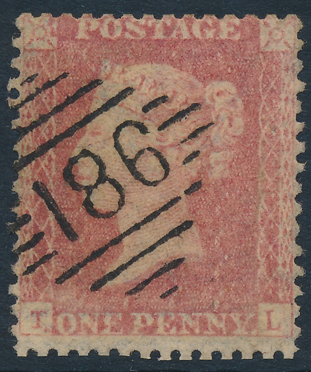 Plate 64 T-L