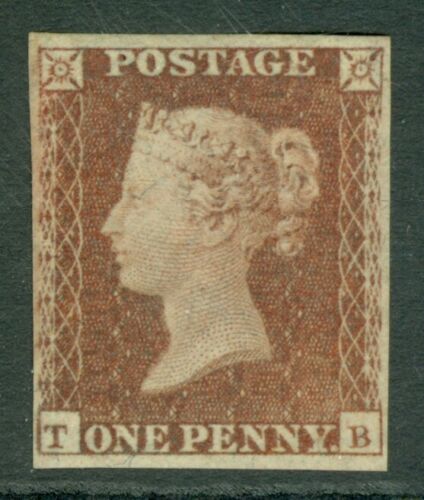 Plate 113 T-B