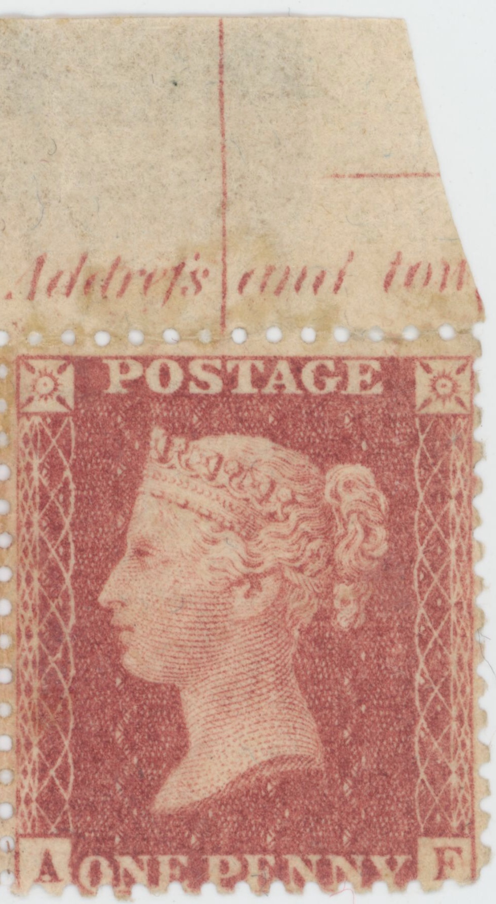 Plate 55 A-F