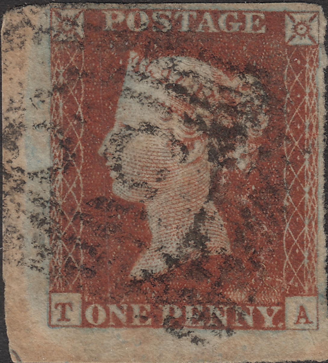 Plate 50 T-A