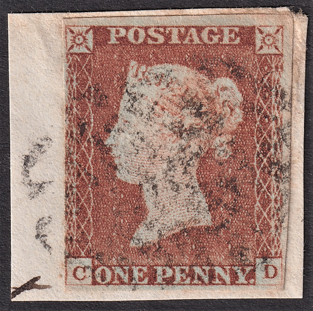 Plate 23 C-D