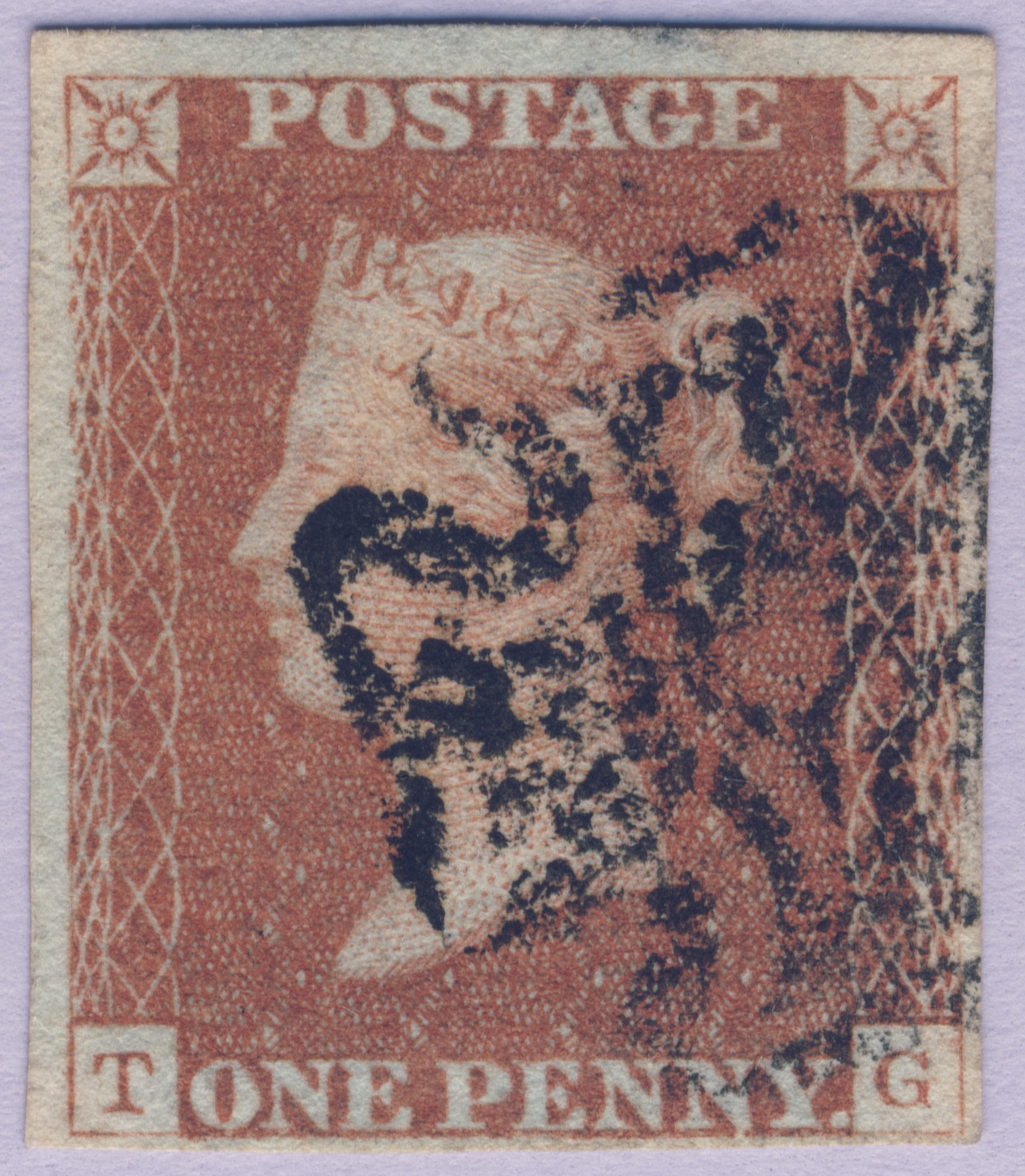 Plate 23 T-G