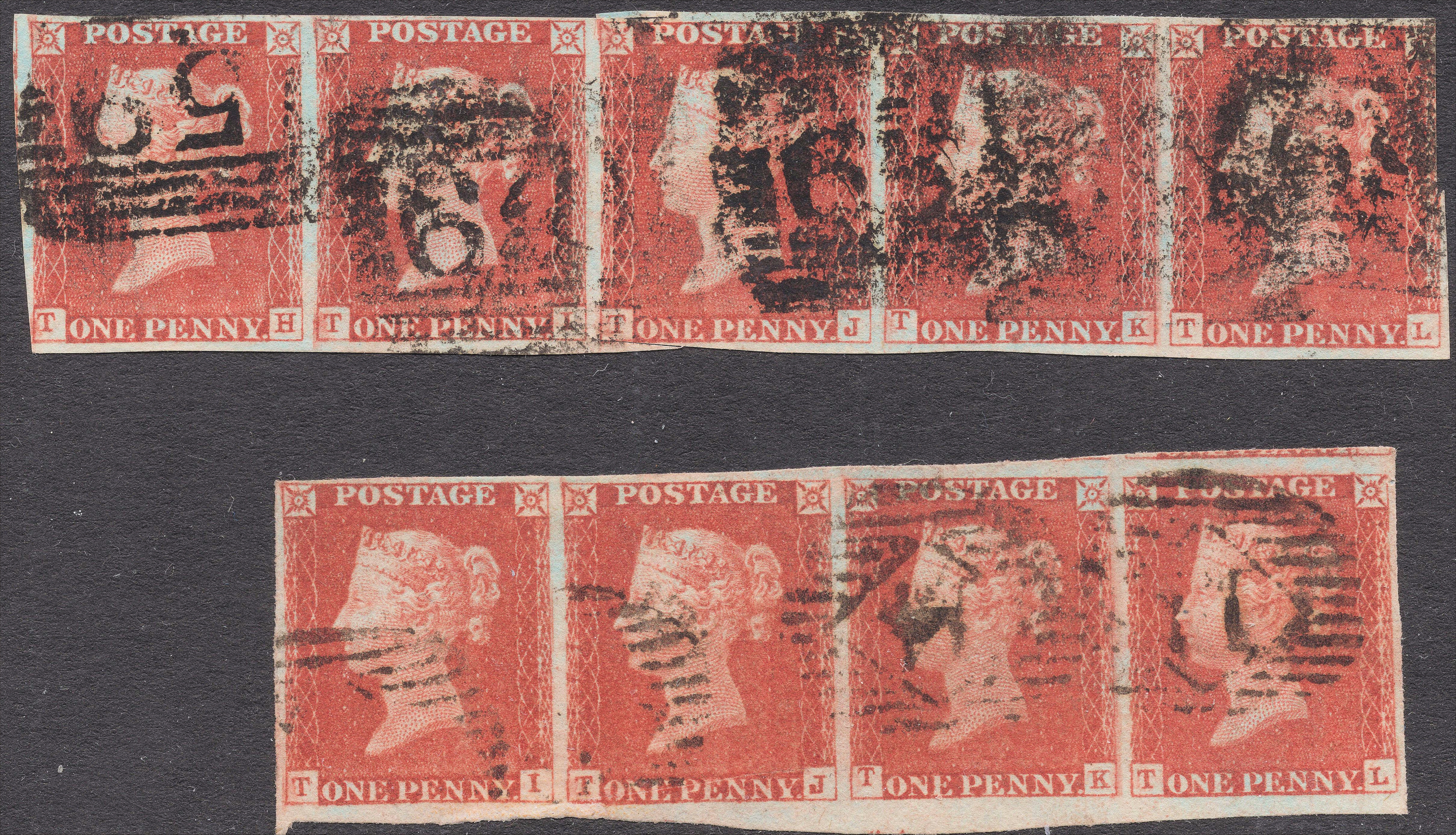 Plate 59 T-L