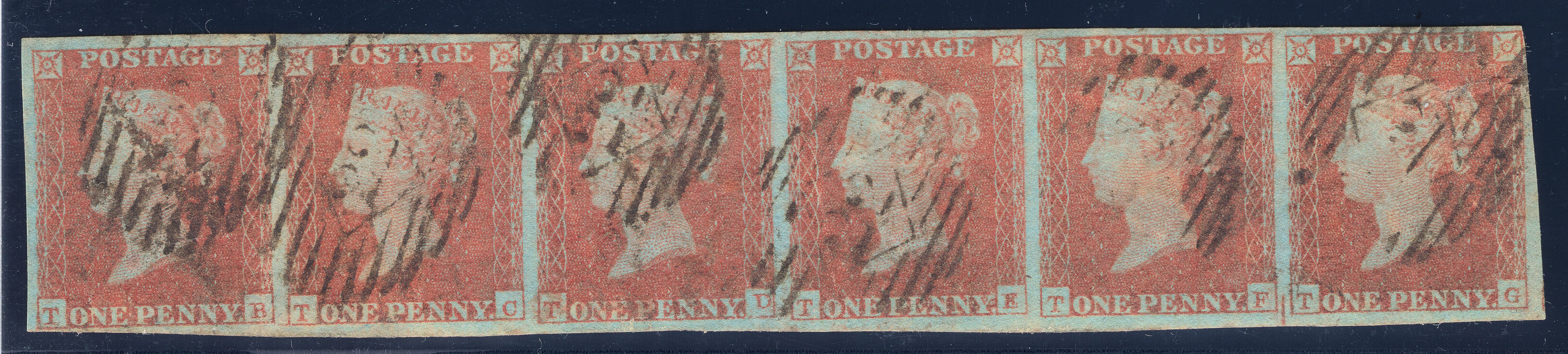 Plate 113 T-B, T-C, T-D, T-E, T-F, T-G