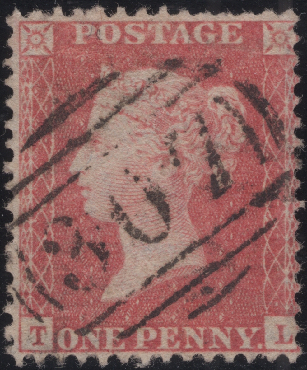 Plate 38 T-L