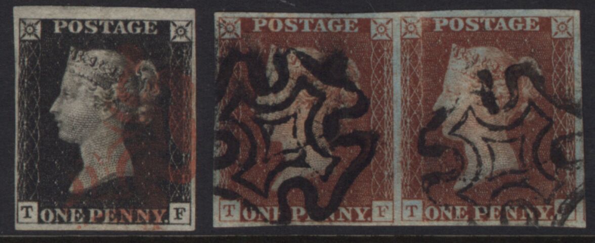 Plate 8 T-F