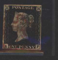 Plate 4 A-F