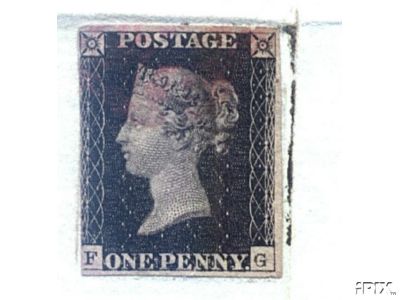 Plate 5 F-G